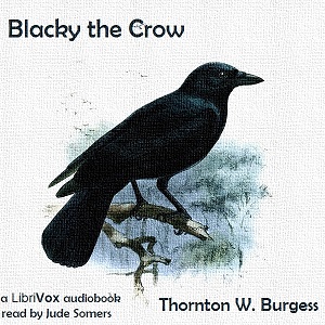 Audiobook Blacky the Crow