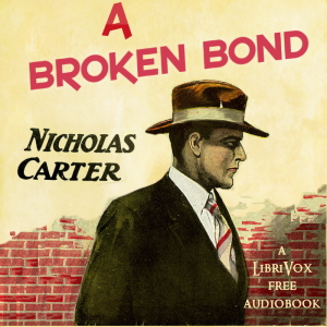 Audiobook A Broken Bond