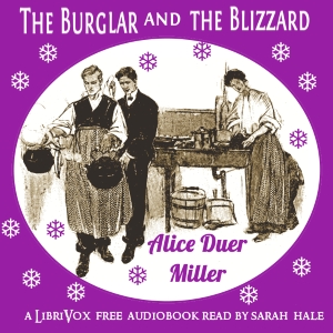 Audiobook The Burglar and the Blizzard