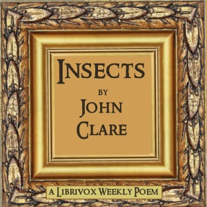 Audiobook Insects