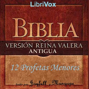 Libro de audio Bible (Reina Valera) 28-39: Los 12 Profetas Menores