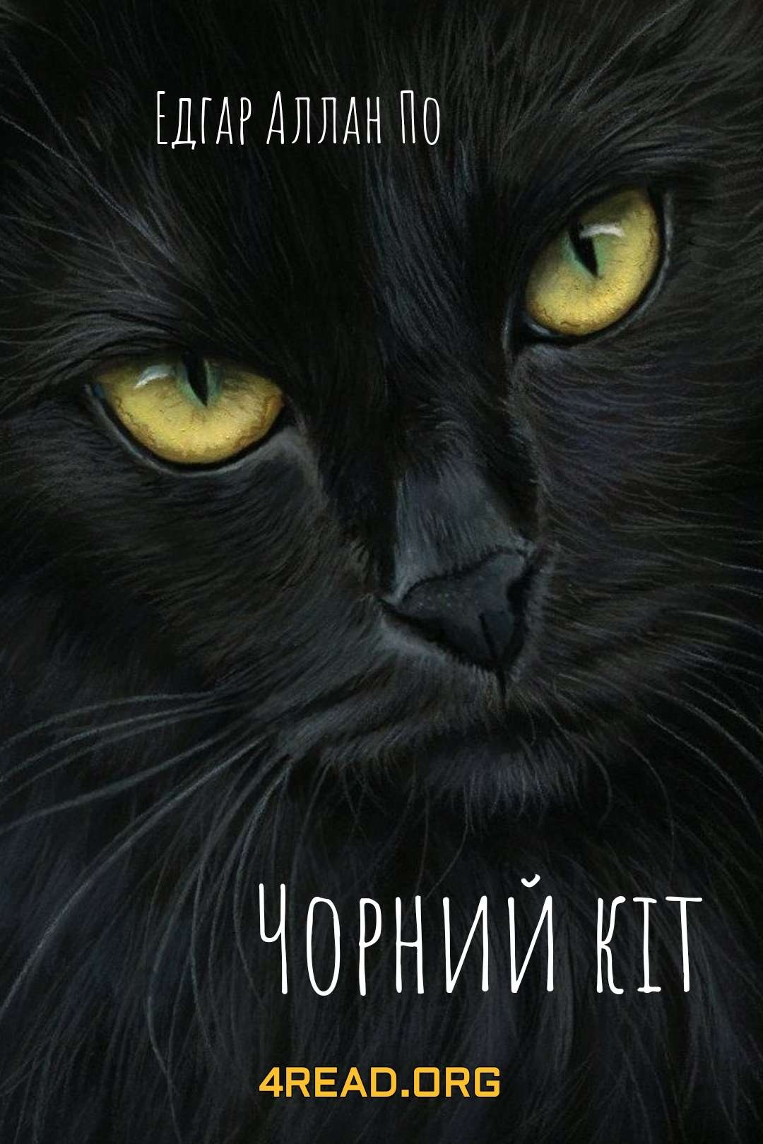 Аудіокнига Чорний кіт
