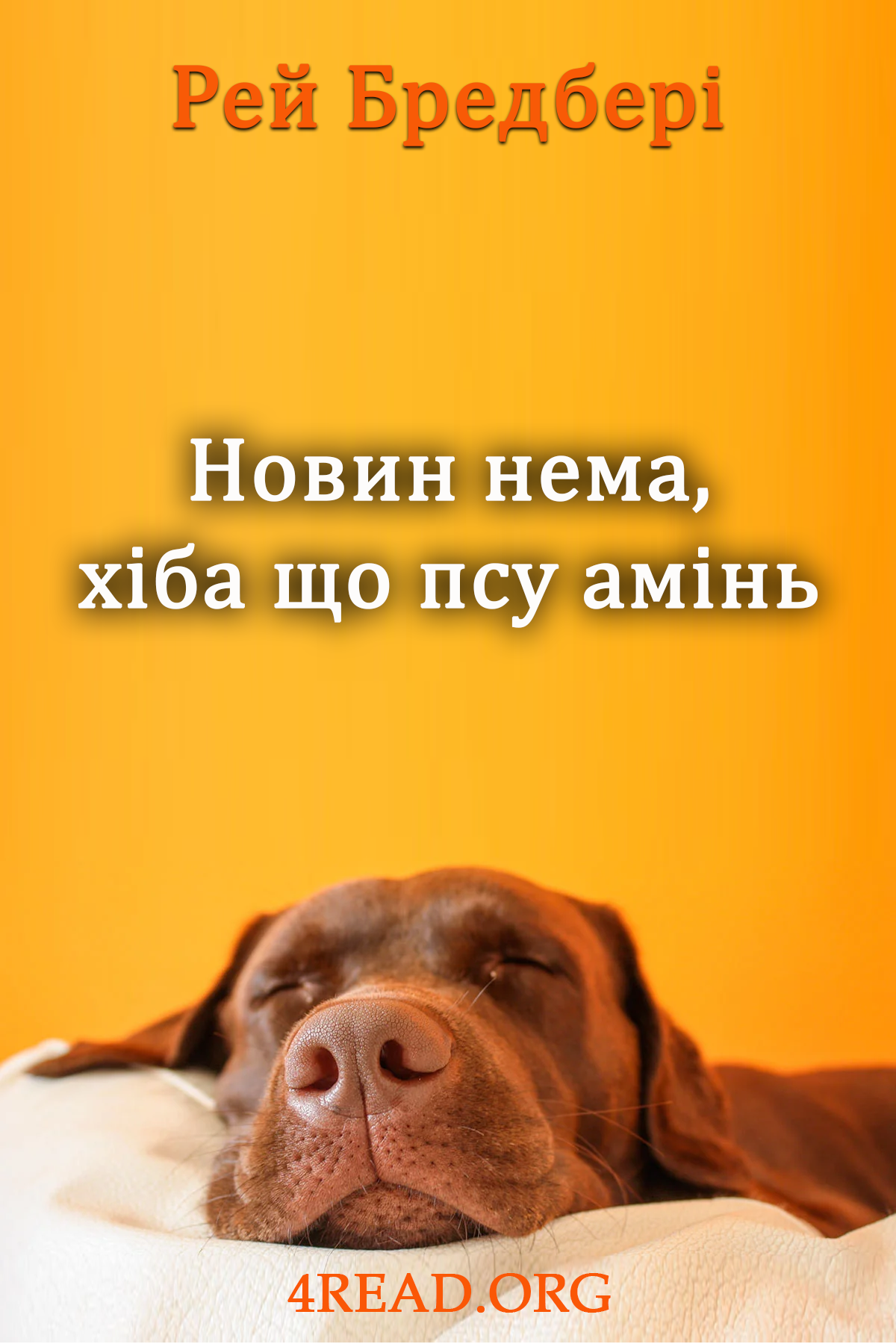 Аудіокнига Новин нема, хіба що псу амінь
