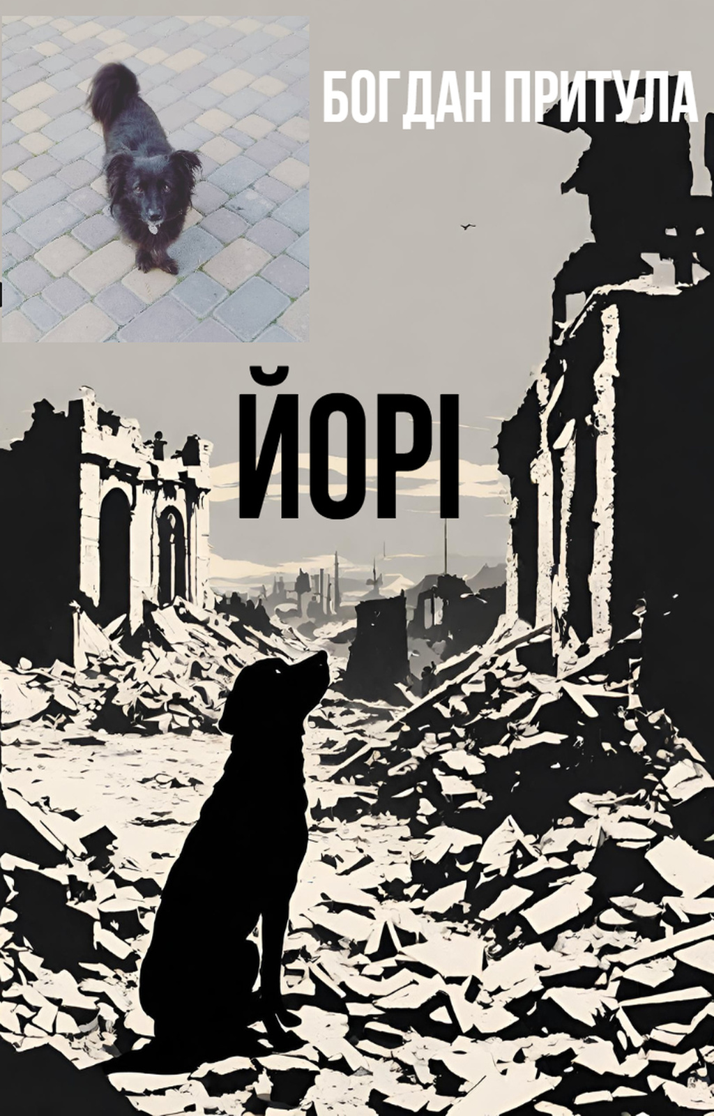 Аудіокнига Йорі