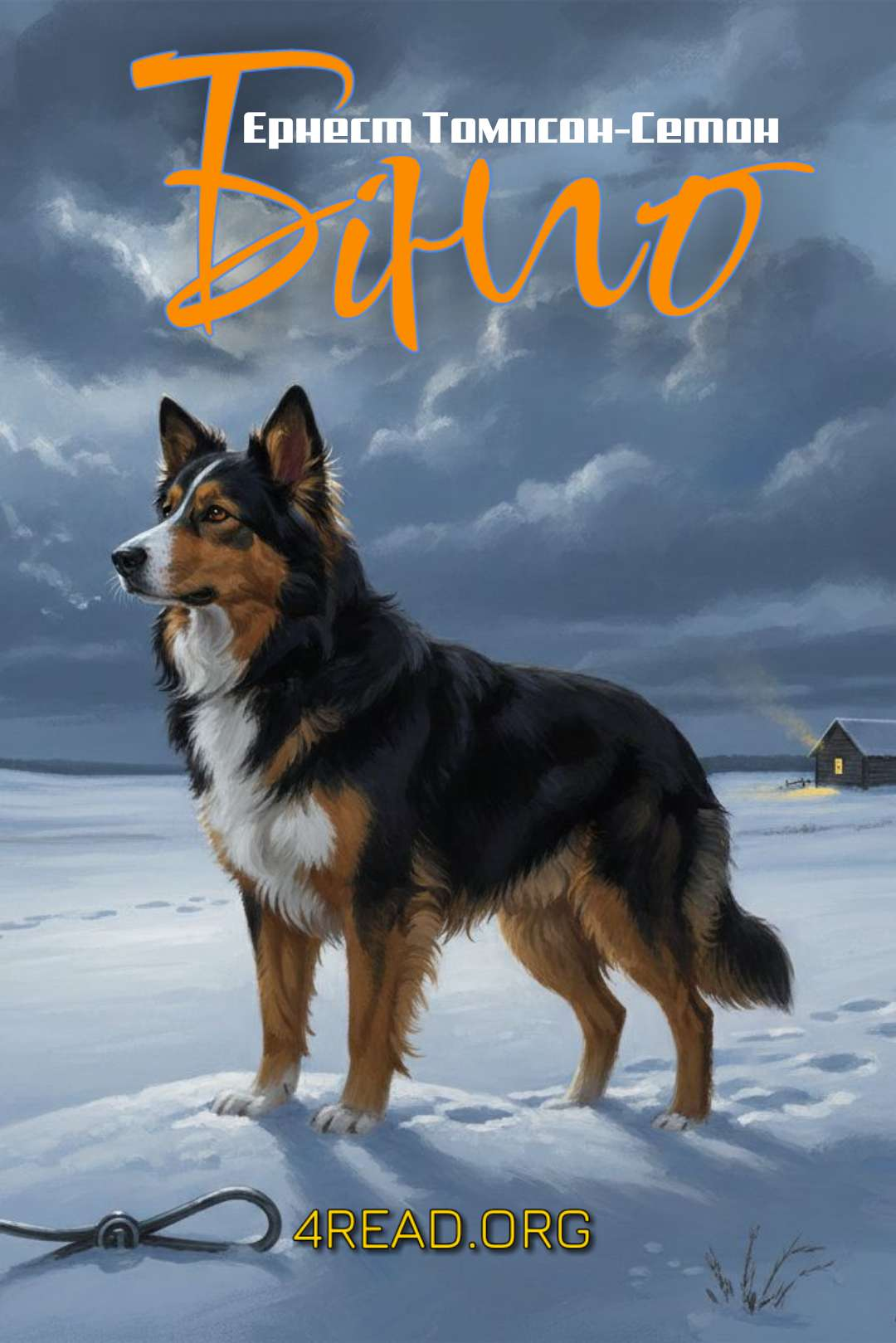 Аудіокнига Бінго. Історія мого собаки