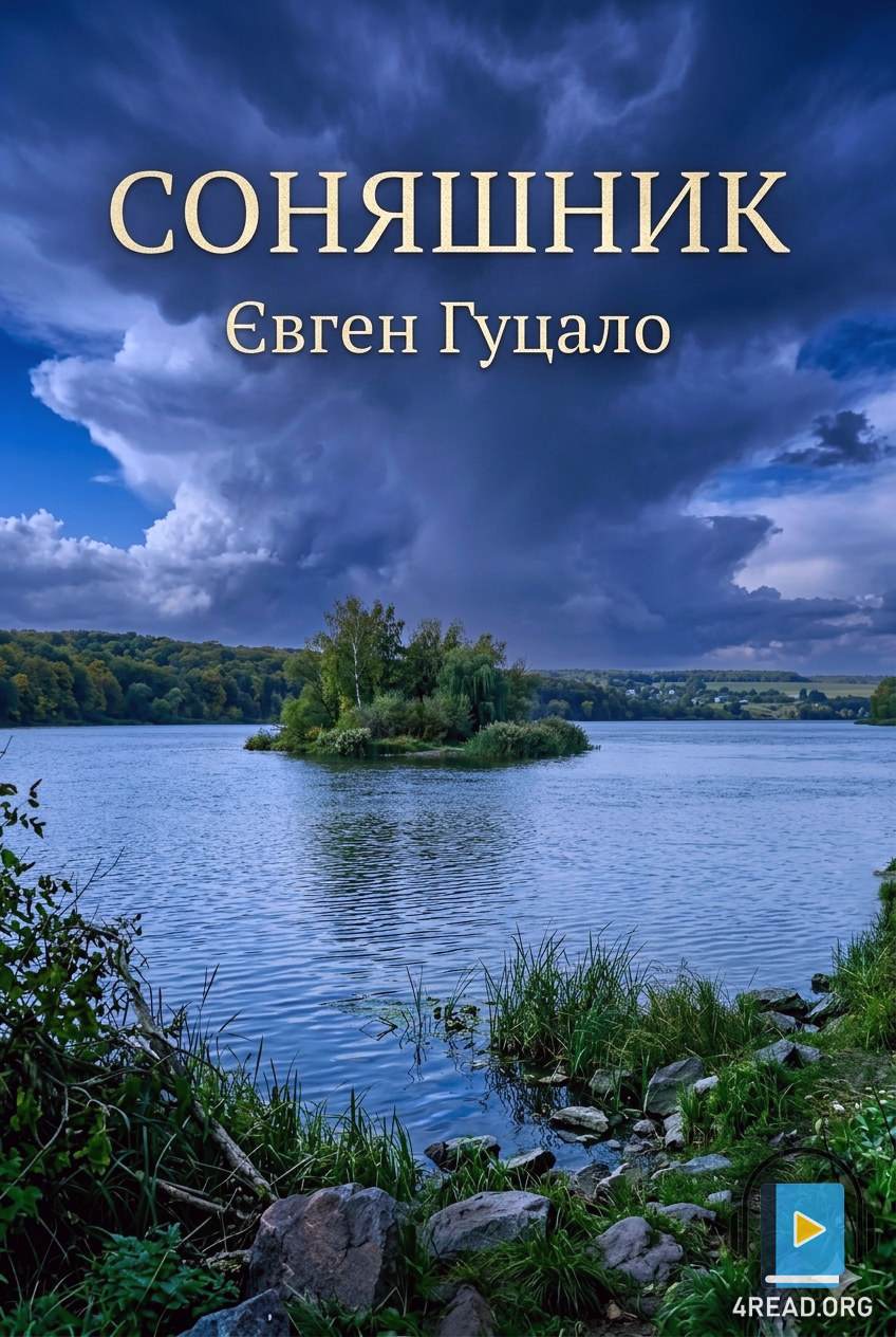 Аудіокнига Соняшник