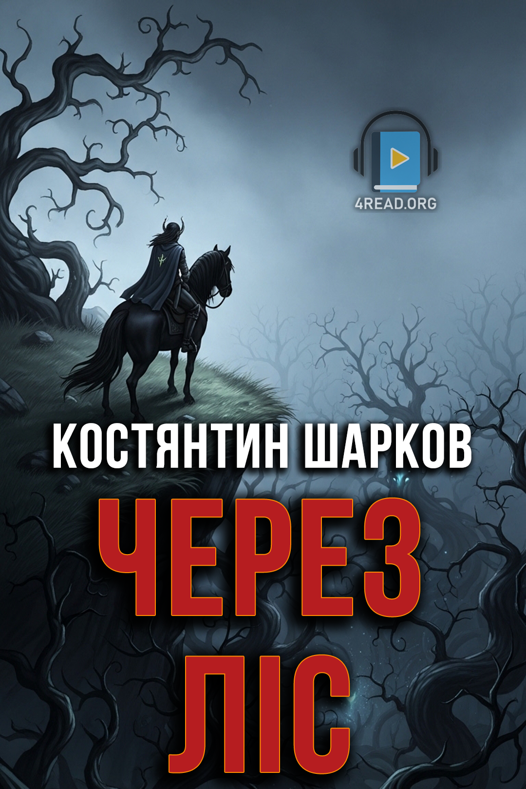 Аудіокнига Через ліс
